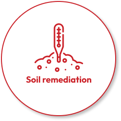 Soil Remediation